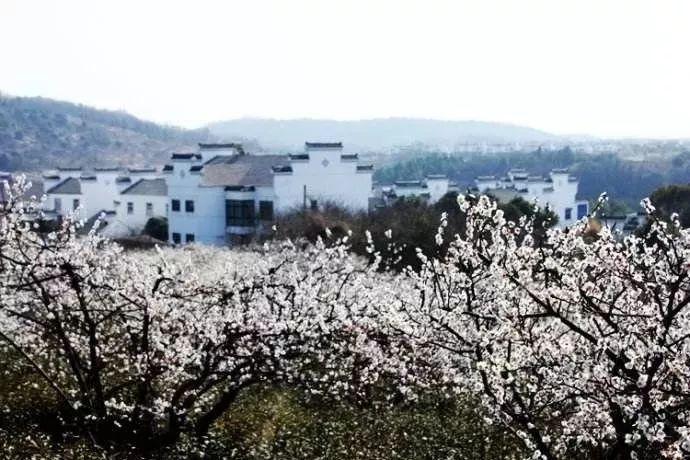 网飞版《三体》即将来袭,特效远超国产版