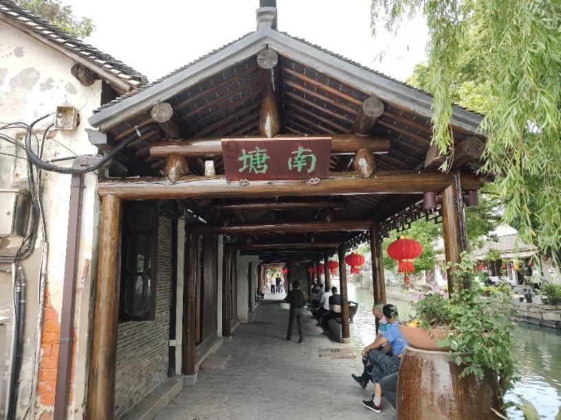 多肉植物怎么种游戏画面